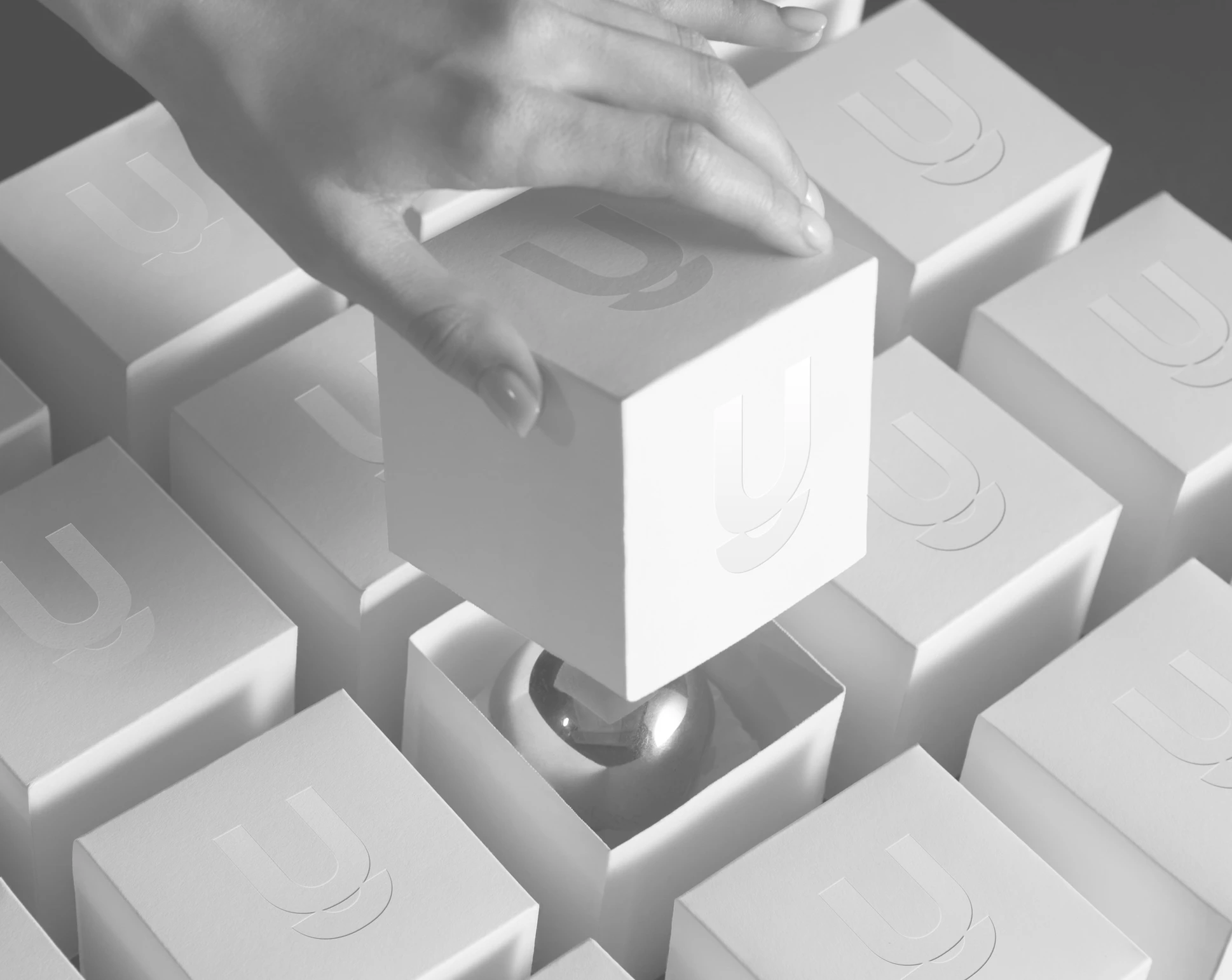 Bao bì sản phẩm là gì và tại sao nó lại quan trọng đối với sự thành công của thương hiệu